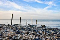 Une banque avec des obus dans l'Escaut oriental