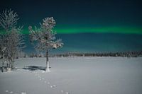 Nordlichter in Lappland 002