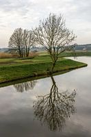 Spiegelung im Graben 1