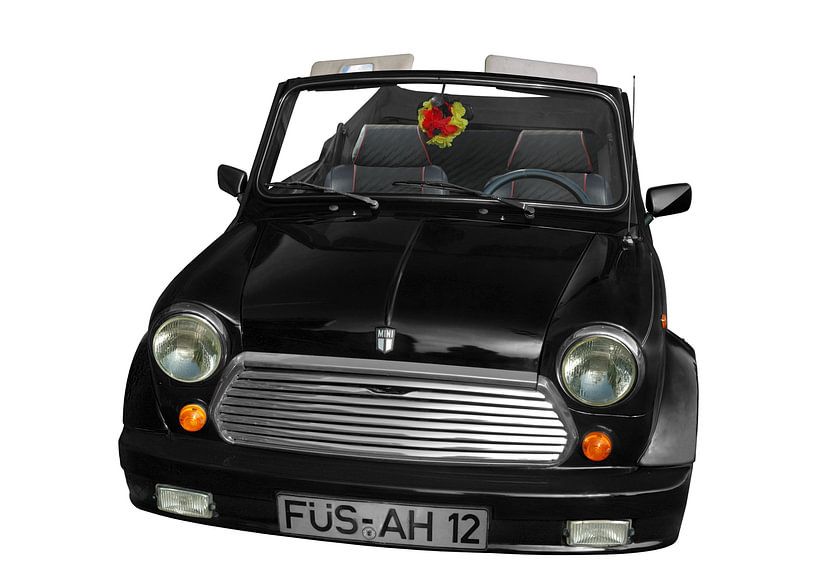 Mini Agneau Cabrio par aRi F. Huber