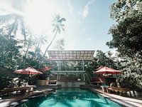 Piscine rétro avec palmiers