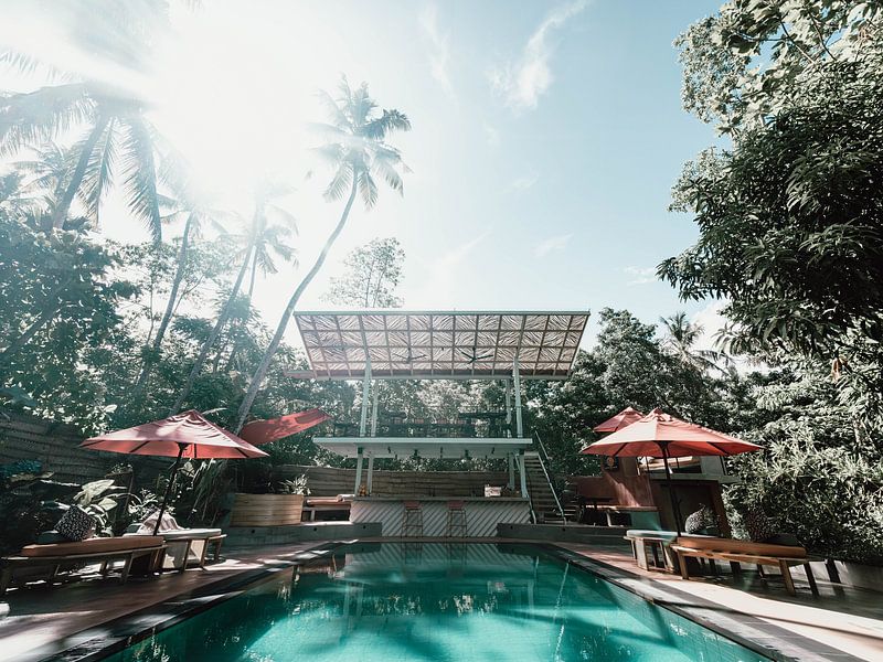 Retro-Schwimmbad mit Palmen von Kimberley Jekel