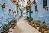 Street in Chefchaouen, the blue town of Morocco