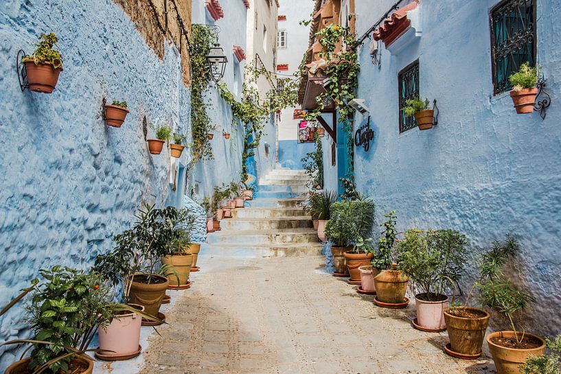 Straße in Chefchaouen, der blauen Stadt Marokkos von Expeditie Aardbol