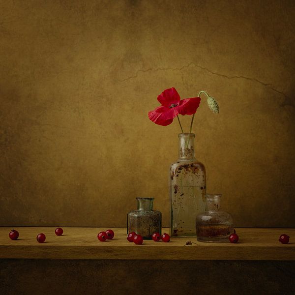 Mohn mit roten Beeren von Carolien van Schie