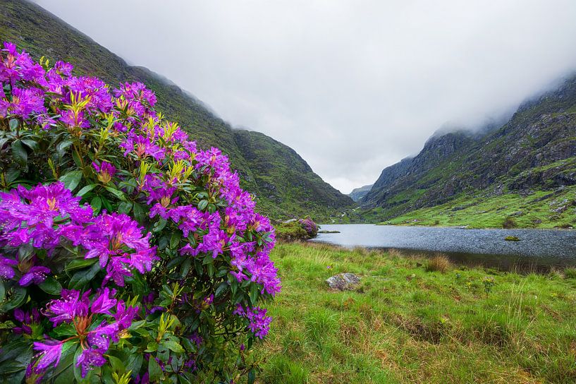 Gap of Dunloe - Killarney (Irland) von Marcel Kerdijk