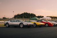 Les Tomaso's au soleil du soir