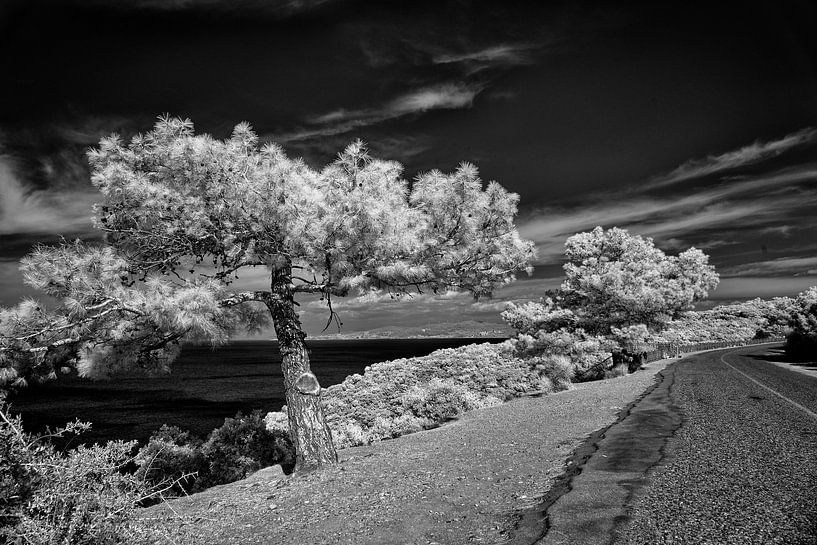 Pour l'éternité par Arie Jan Kraai