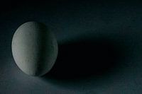 Das geheimnisvolle Ei