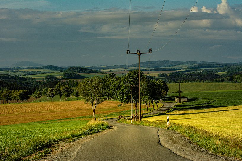 paysage fleurs / prairie fleurie nature par Johnny Flash