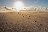 Des pas dans le sable