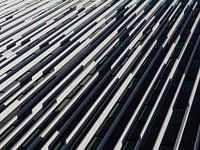 The white and black stripes