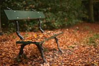 Moment de repos en automne