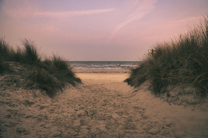 Passage sur la plage d'Usedom avec vue sur la mer Baltique par Martin Köbsch