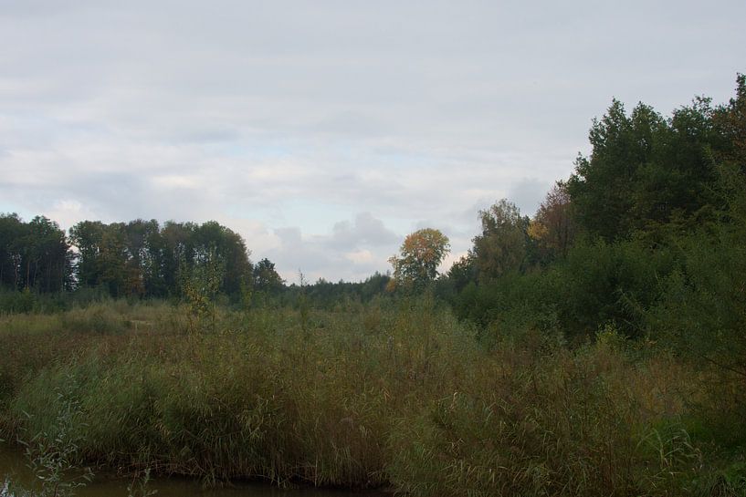 La nature dans le polder du Nord-Est par Gerard de Zwaan