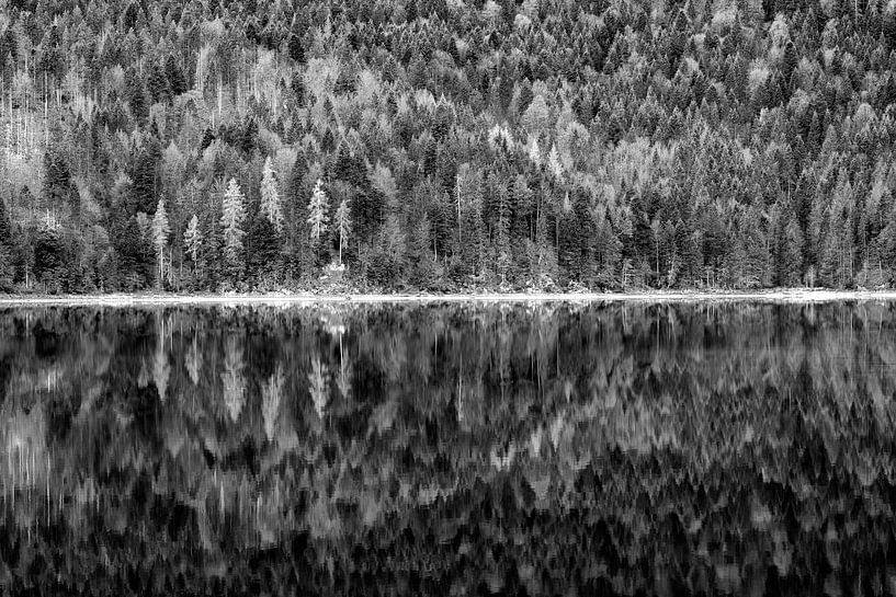 Spiegelung am Eibsee von Andreas Müller