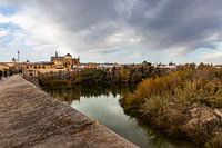 Am Fluss in Córdoba