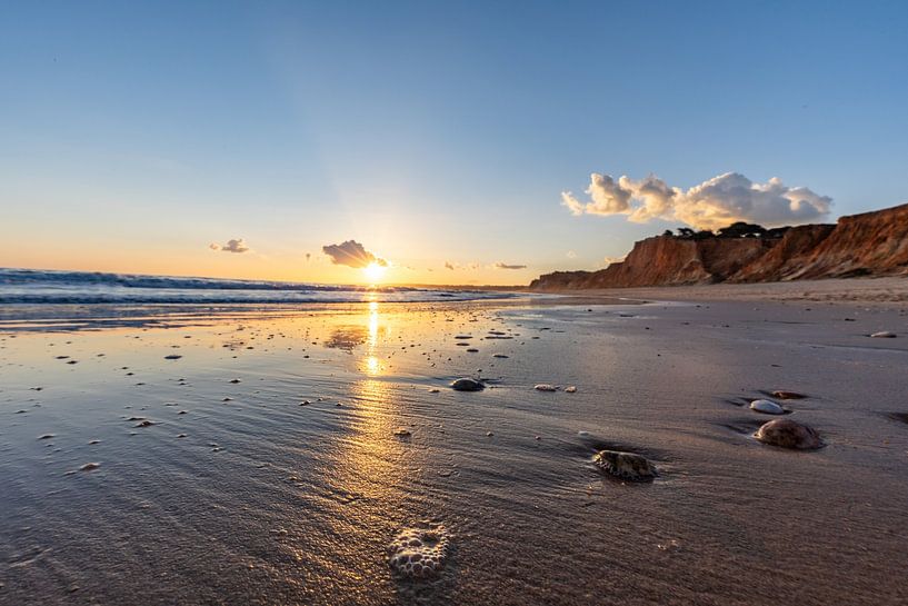 Coucher de soleil sur la plage de sable Praia da Falésia. Falaises Fleurs roses près d'Albufeira, Portugal par Fotos by Jan Wehnert