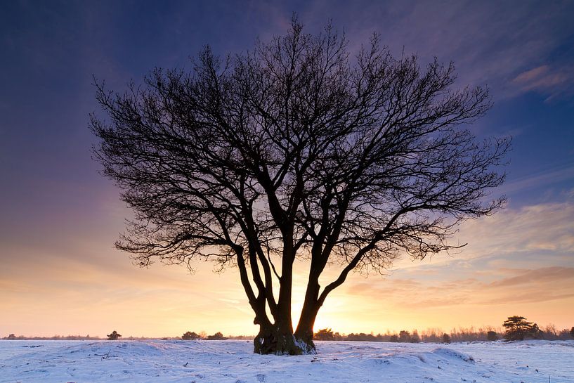 Aekingerzand par robert wierenga