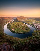 Mosel river at summer