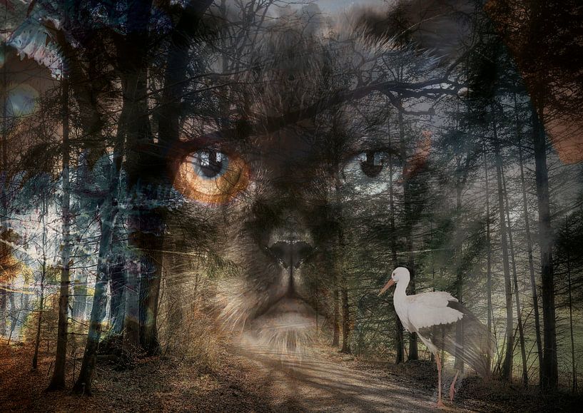 The strange meeting by Andreas Schulte