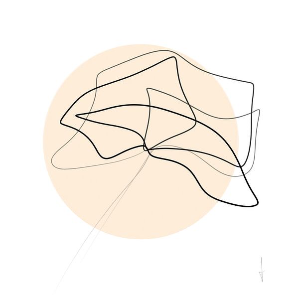 Mohn in der Sonne von AnkieArt