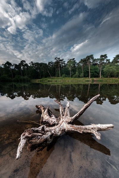 Oisterwijk Fens au petit matin par Eddy Westdijk