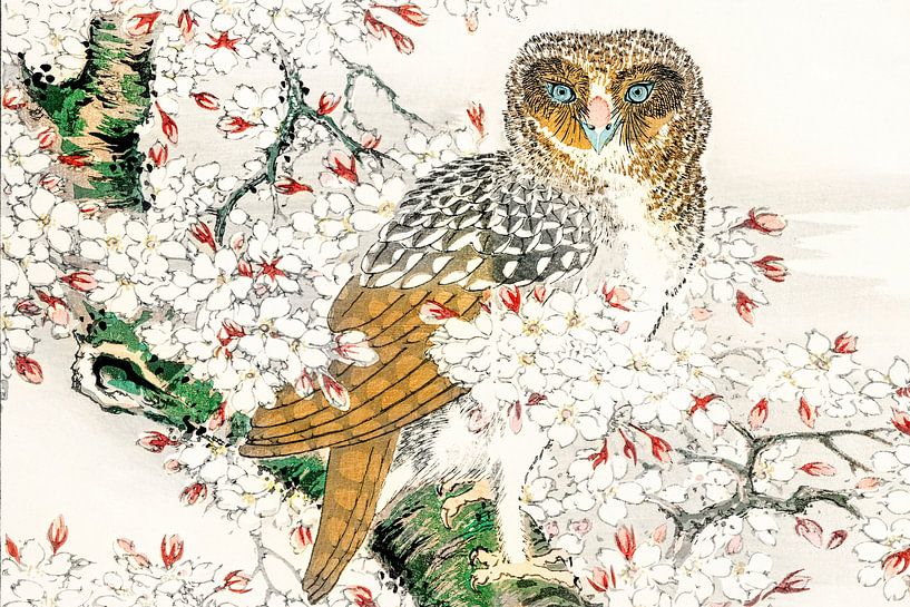 Japanische Eule von Mad Dog Art