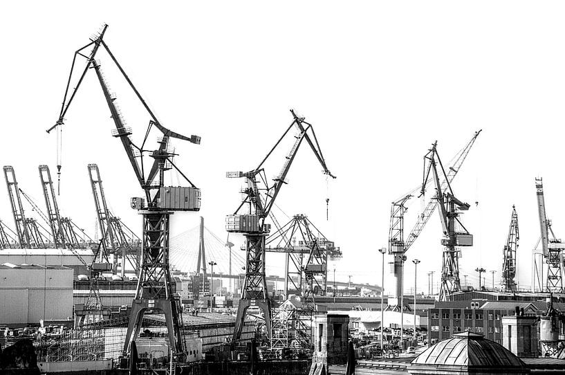 Hamburg by Agostino Lo Coco