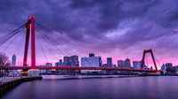 Rotterdam, Willemsbrug at sunset