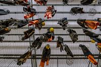 Vestiaire avec systèmes de paniers suspendus pour les mineurs