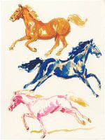 Bunte Pferde in Bewegung