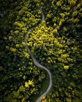 the snake in the mountains