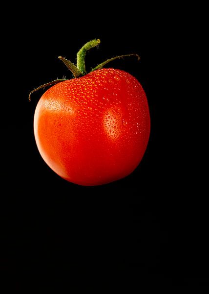Tomate par Rob van Soest