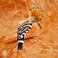 Hoopoe at the Kaiserstuhl