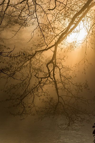 De schaduwen van de Sorgue 1 van gerald chapert