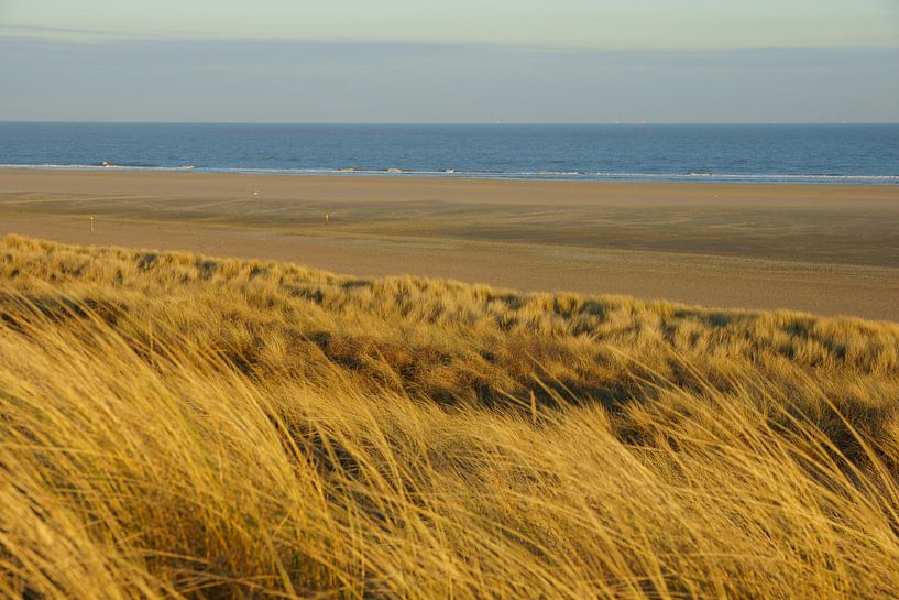 Duinen en Zee par Michel van Kooten