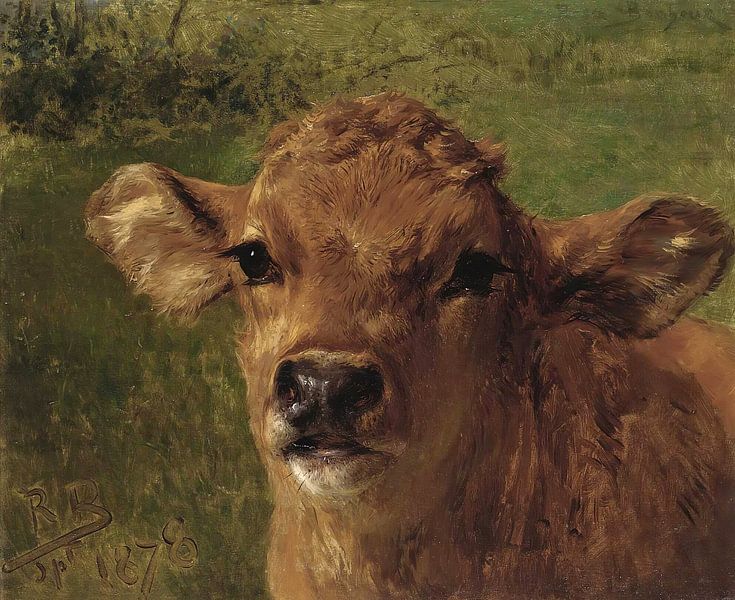 Head Of A Calf, Rosa Bonheur by Masterful Masters