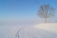 sneeuwlandschap