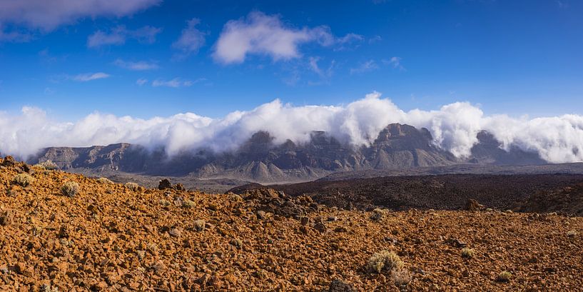 Teide National Park, Tenerife by Walter G. Allgöwer