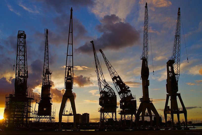 Antwerpen - Tanzende Kraniche von Henk Frings