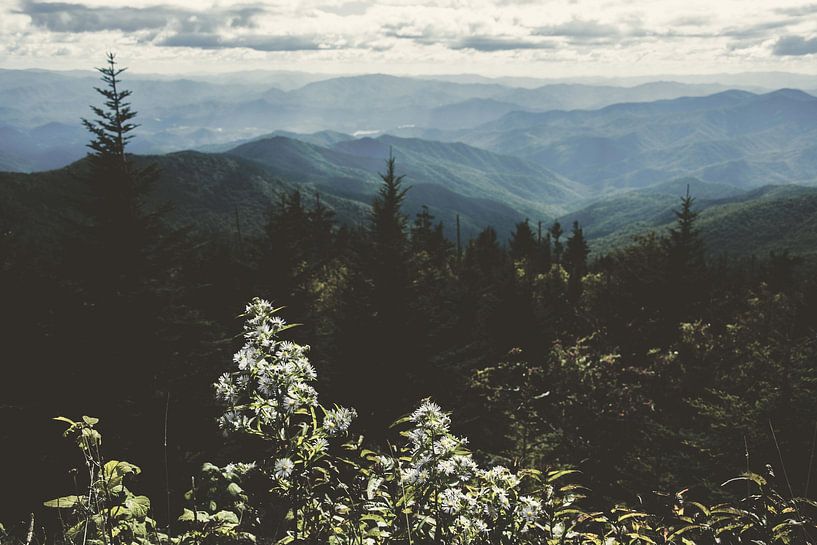 Smoky Mountain National Park Landscape, Nature Magick  by PI Creative Art
