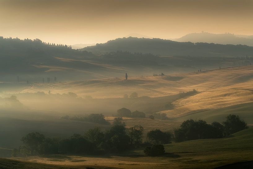 Golden morning light over Tuscany by Roy Poots