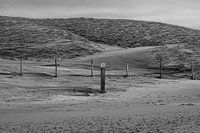 Strandmast im Wind (Oostvoorne)