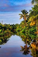 Plantage Bakkie in Suriname