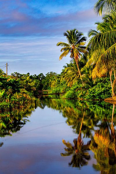 Plantagen-Bakkie in Surinam von René Holtslag