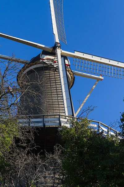 Moulin à Leyde - photographie urbaine par QEIMOY