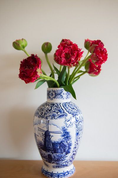 XL-Tulpen Amsterdam von Alida Stam-Honders