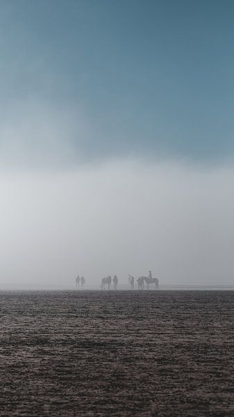 Reiten im Nebel von Pim Haring