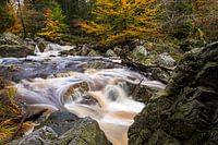 Autumn colours in the Ardennes